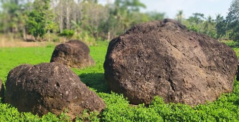 Giant black stone in the grass