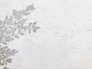 植物の影が落ちた白い漆喰の壁の背景素材　ラスター素材