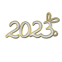 2023 hand lettering text enamel pin ornament