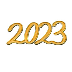 2023 hand lettering text enamel pin ornament