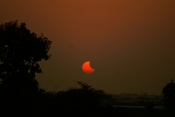 Partial solar eclipse from the farm.