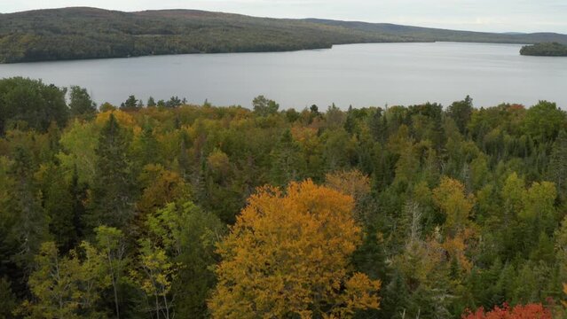 Beautiful view of Rangeley Lake in Maine with colorful leaves in the foreground.