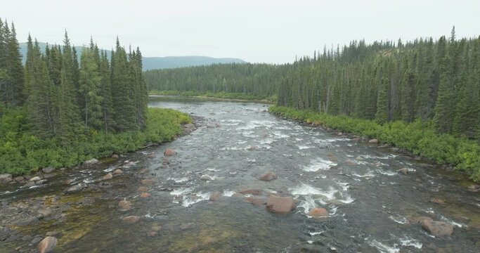 Gorgeous aerial flyover shot of a river flowing through the wilderness of Newfoundland and Labrador, Canada