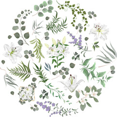 Vector Floral Set. White lilies , lavender, magnolia, eucalyptus. Different kinds of plants and leaves. Collection for wedding design 