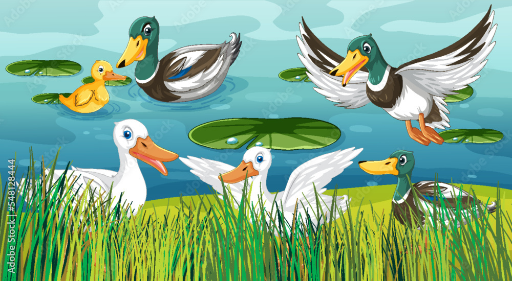 Wall mural outdoor scene with cartoon ducks