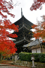 京都 真如堂の三重塔と紅葉