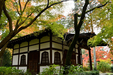 京都 真如堂境内の紅葉