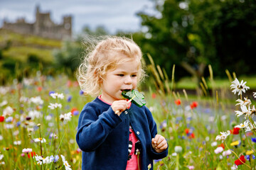 Cute toddler girl with Irish cloverleaf lollipop with Rock of Cashel castle on background. Happy...