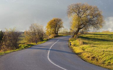 Fototapeta premium Slovak mountain road, foggy in late autumn.