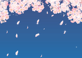 美しい夜桜の背景イラスト