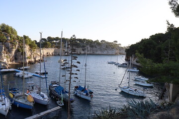 Fototapeta na wymiar Les calanques de Port-Miou le long de la mer méditerranée, ville de Cassis, département des Bouches du Rhône, France