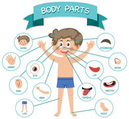 Body parts with vocabulary