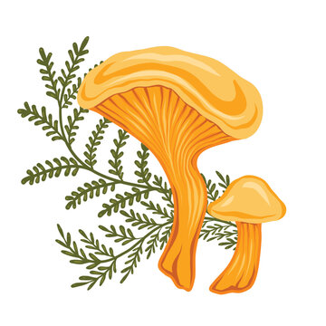 orange mushrooms with green leaves clip art preview