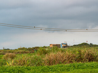 Old wooden electric poles and electric power lines on the background of the landscape