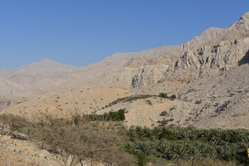 mountain, ras al-chajma, uae, asia, persian peninsula, united arab emirates, experience, primal, survival, 