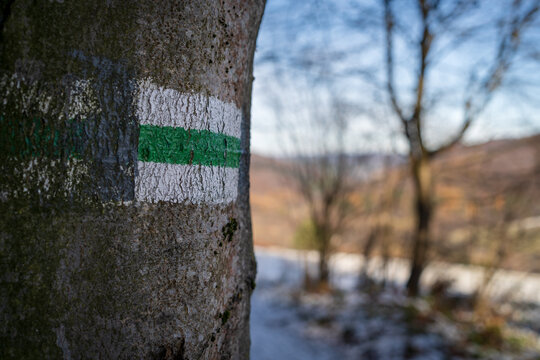 The green trail icon, trail symbol