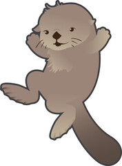 Adorable Sea otter, scientific name Enhydra lutris.