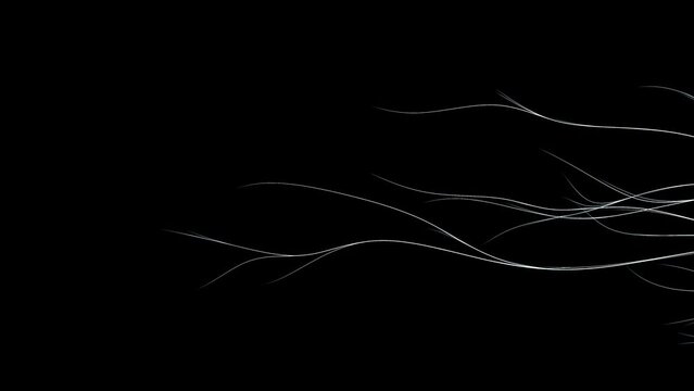 Abstract curving line white color moving slowly on black background. Animation resembling tree root with scattered movement. 3D Render.