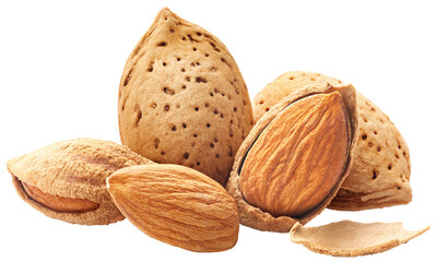 Group of almonds nut with shell