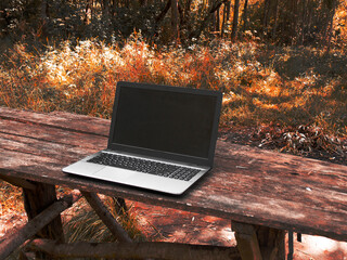 Laptop and nature. Laptop on a wooden table surrounded by forest. Close-up