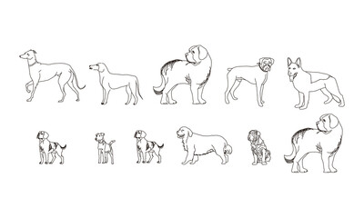 Set of various dogs. Collection of different pedigreed domestic dogs. Playing pets. Vector illustration of cute dog faces. Drawing for children