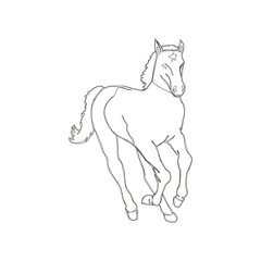 Fototapeta na wymiar silhouette horse line, Horse logo. Black and white vector illustration.eps, silhouette horse line, Horse logo. Black and white vector illustration