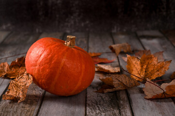 Pumpkin from the new crop lies on the table 