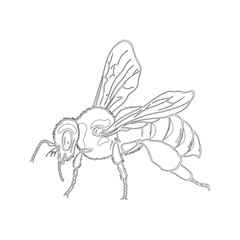 Bee one line drawing. Abstract minimal icon