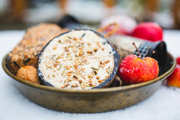 Winter birds feeding