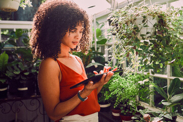 Greenhouse, plants and tablet of black woman for digital application, website management and stock inventory for agriculture industry. Seller, small business owner and online website for growth tips