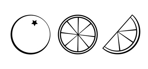 Set of black line art citrus fruit symbol vector illustration on white background