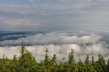 View from  Serak in Jeseniky mountains on a summer foggy morning and  sea of clouds around mountain peak