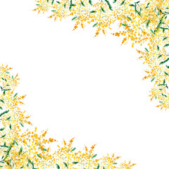 Obraz premium Spring floral frame made of hand-drawn mimosa flowers. Watercolor botanical background with silver acacia flowers. Template for postcards, invitations, decor.