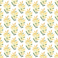 Spring floral background hand-drawn in watercolor. Yellow branches of mimosa drawn in sketch style. Acacia silvery seamless pattern for fabric textile, wrapping paper.