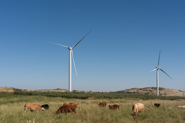 Wind turbines in northern Israel