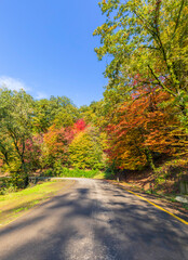 Obraz premium Autumn forest colors in Azerbaijan