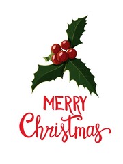 Xmas holly beautiful red berries postcard