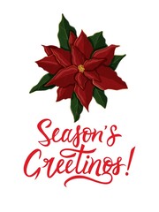 Red Poinsettia Christmas and New Year postcard