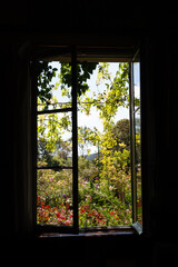 Garden view through open window frame.