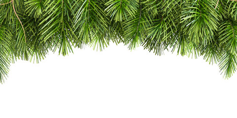 christmas background with branches