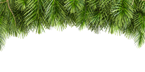 christmas background with branches