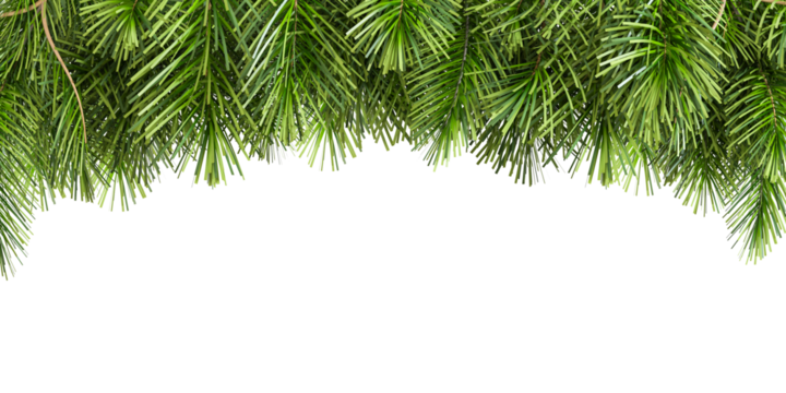 christmas background with branches