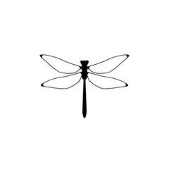 Dragonfly insect. Dragonfly animal icon isolated on white background