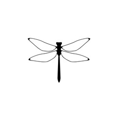 Dragonfly insect. Dragonfly animal icon isolated on white background