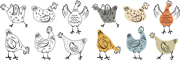 Set of hand-drawn hen. Chicken illustration domestic birds.
