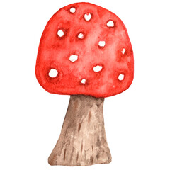 Mushroom, Watercolor Illustration, Hand Drawn Mushroom Illustration