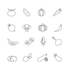 Vegetables icon set. Vector illustrations in line design, editable stroke. Tomato, cucumber, pepper, carrot, pumpkin, onion and etc.