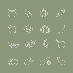 Vegetables icon set. Vector illustrations in line design. Tomato, cucumber, pepper, carrot, pumpkin, onion and etc.