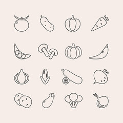 Vegetables icon set. Vector illustrations in line design. Tomato, cucumber, pepper, carrot, pumpkin, onion and etc.