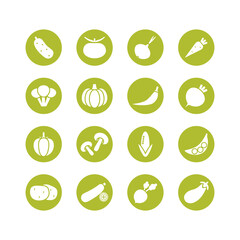 Vegetables icon set in flat design. Tomato, cucumber, pepper, carrot, pumpkin, onion and etc. Color vector illustration